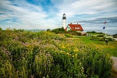 Wildflowers in Front of Portland Head Lighthouse